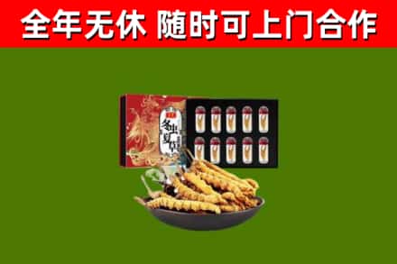 十堰回收冬虫夏草价格